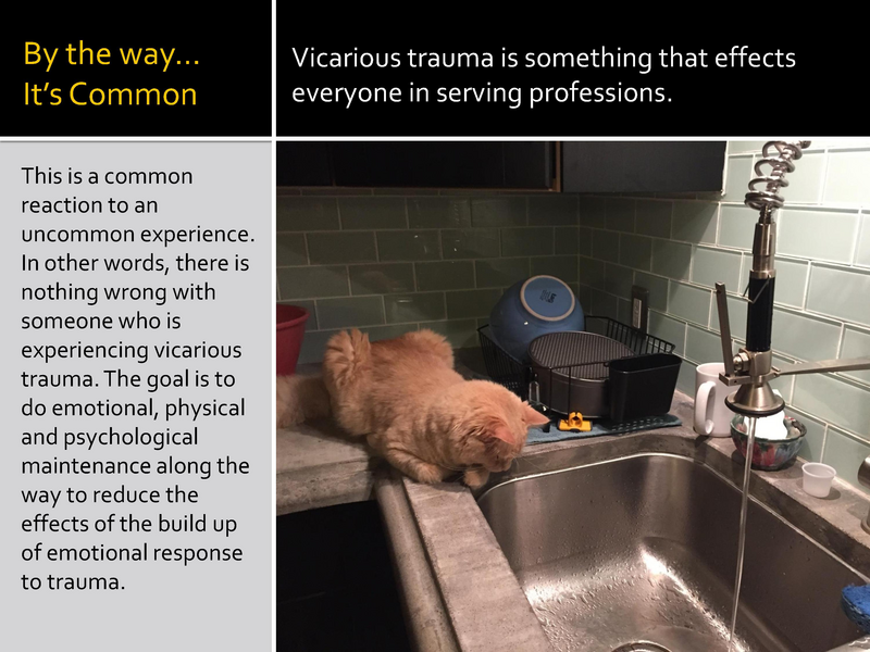 File:Addressing Vicarious Trauma - 7-23-2019.pdf