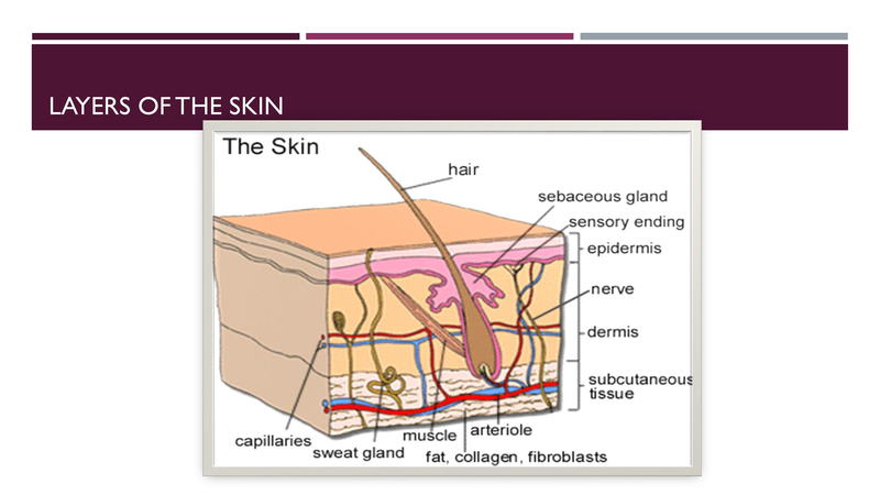 File:Wound Care.pdf