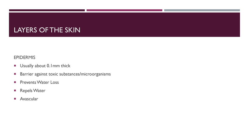 File:Wound Care.pdf