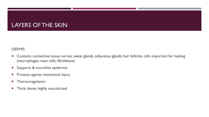 File:Wound Care.pdf