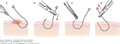 Thumbnail for version as of 16:20, 7 October 2020