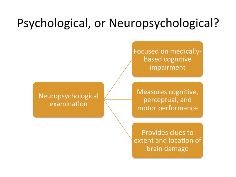 File:Psychological Evaluation YK.pdf