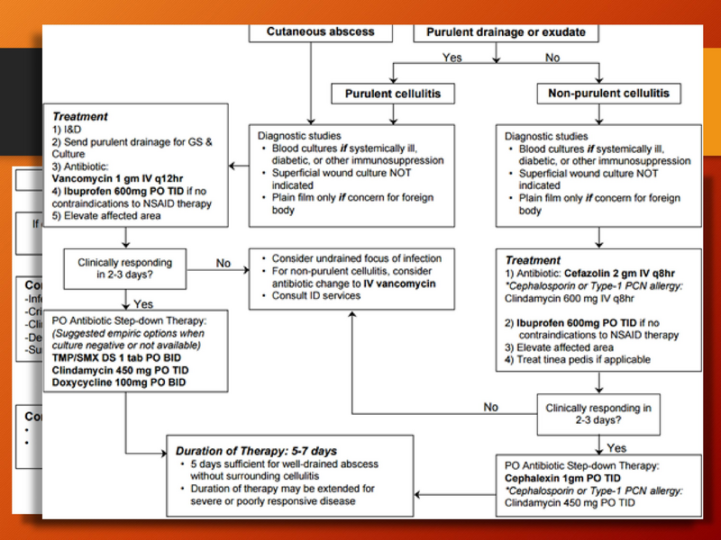 File:Antimicrobial Stewardship.pdf