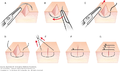 Thumbnail for version as of 01:35, 7 October 2020
