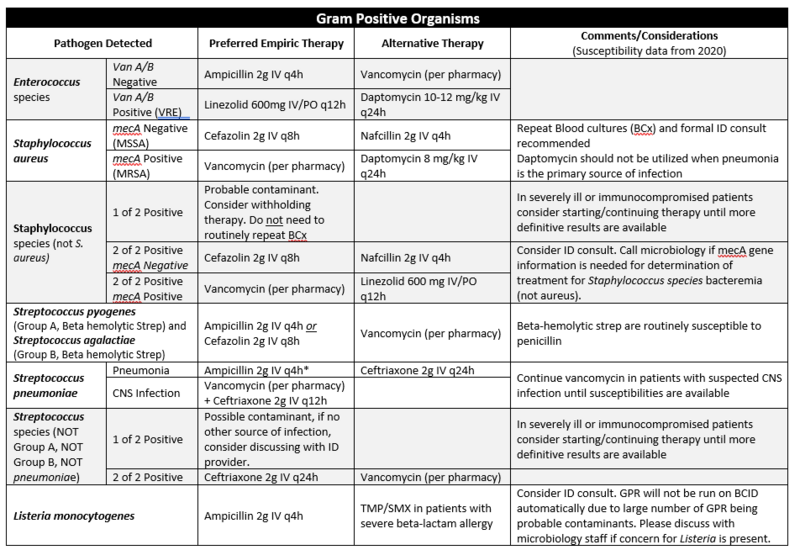 File:BPP Gram Positive.PNG
