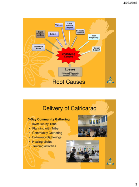 File:Calricaraq System of Care.pdf