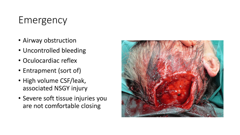 File:Facial Trauma - 4-4-2019.pdf