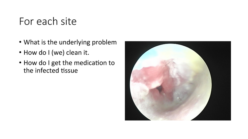 File:The draining ear.pdf