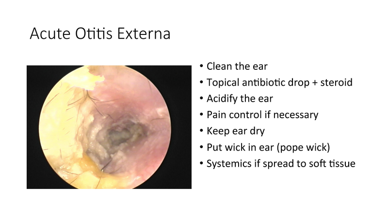 File:The draining ear.pdf