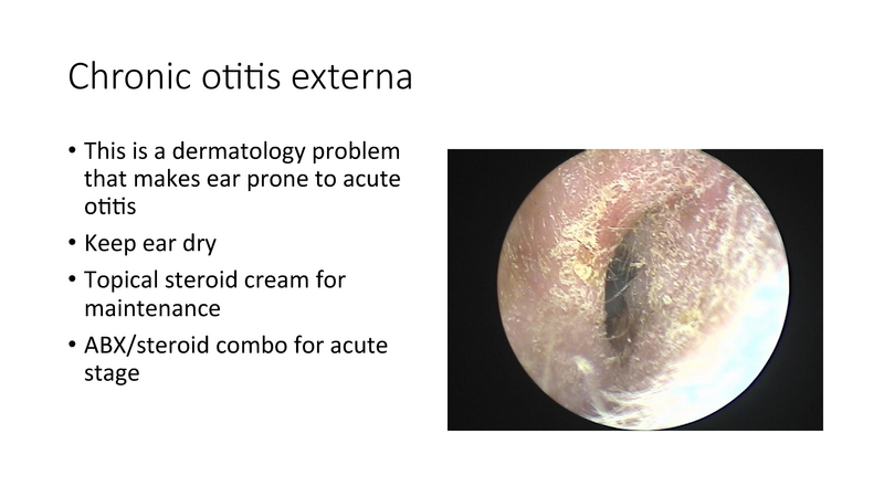 File:The draining ear.pdf
