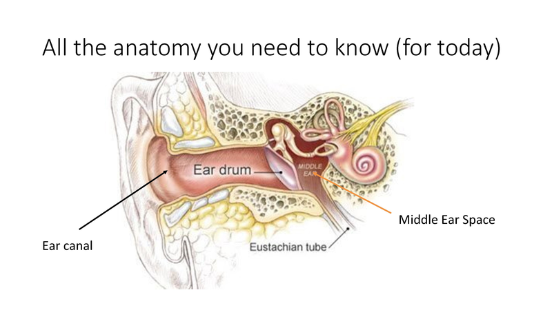 File:The draining ear.pdf