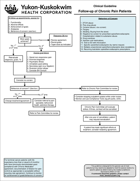 File:Chronic pain.pdf