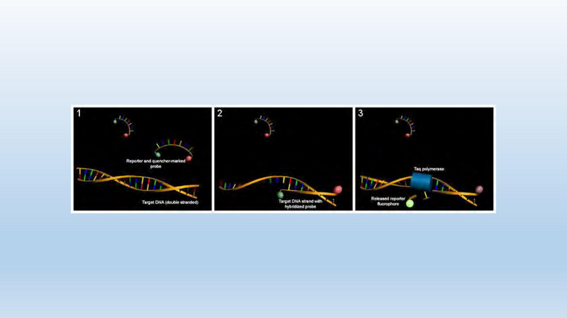File:HighTechTB.PDF
