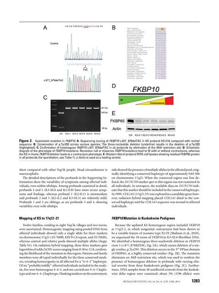 File:Kuskokwim-Syndrome.pdf