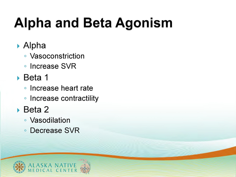 File:Bethel Shock Lecture.pdf