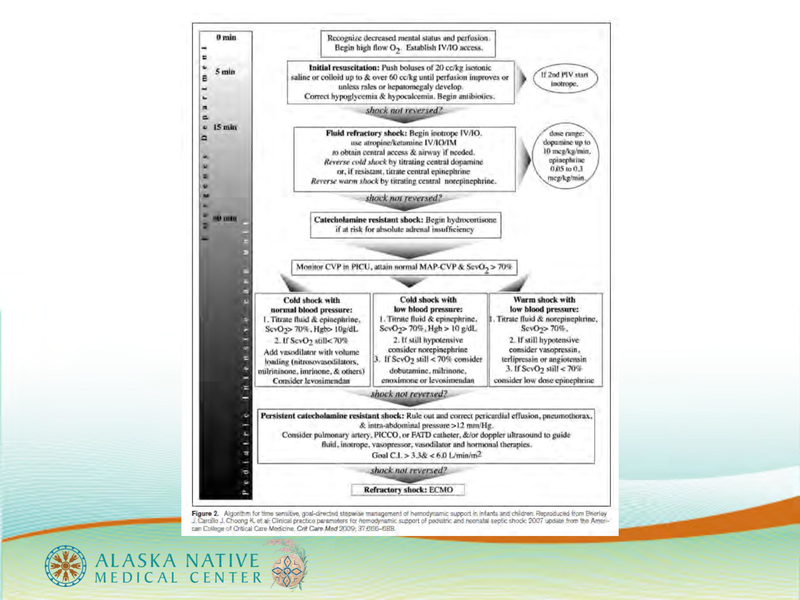 File:Bethel Shock Lecture.pdf
