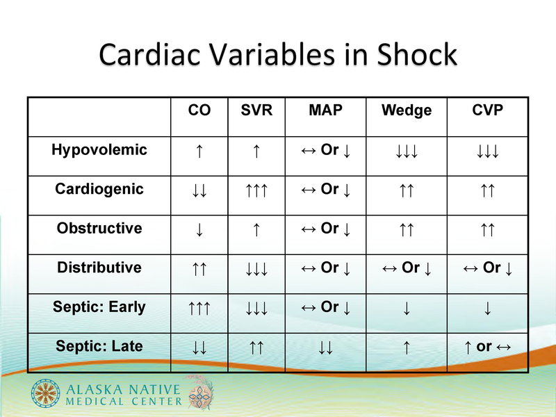 File:Bethel Shock Lecture.pdf