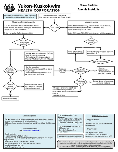 File:AdultAnemia.pdf