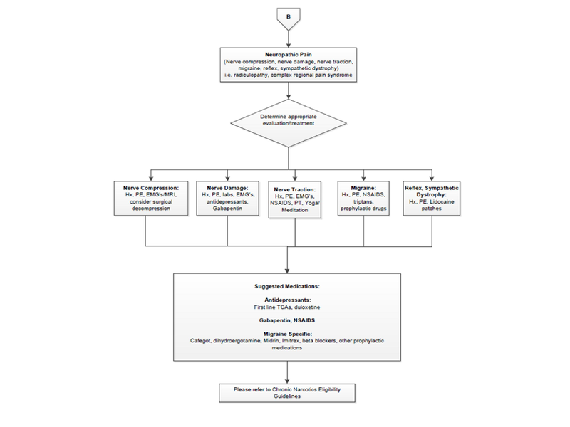 File:Chronic Pain Overview.pdf