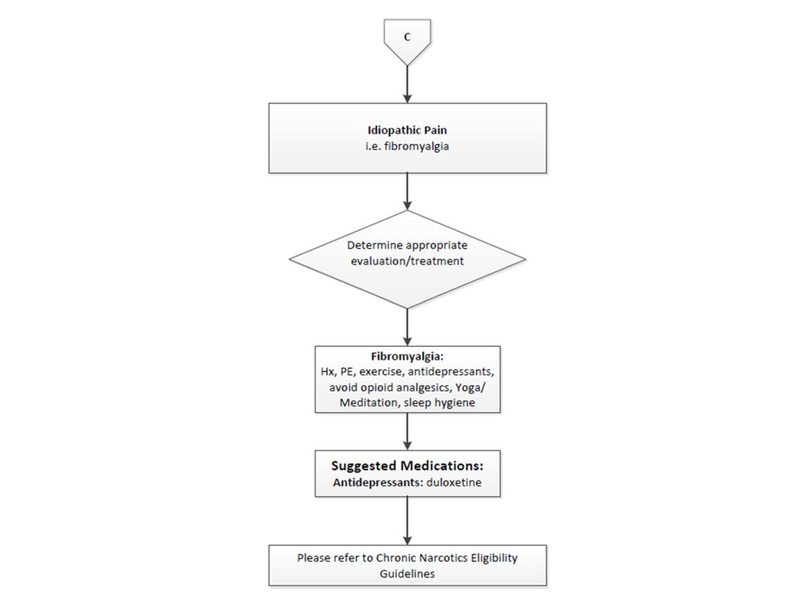 File:Chronic Pain Overview.pdf