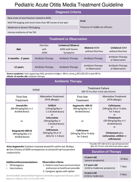 File:ENT Guidelines.pdf