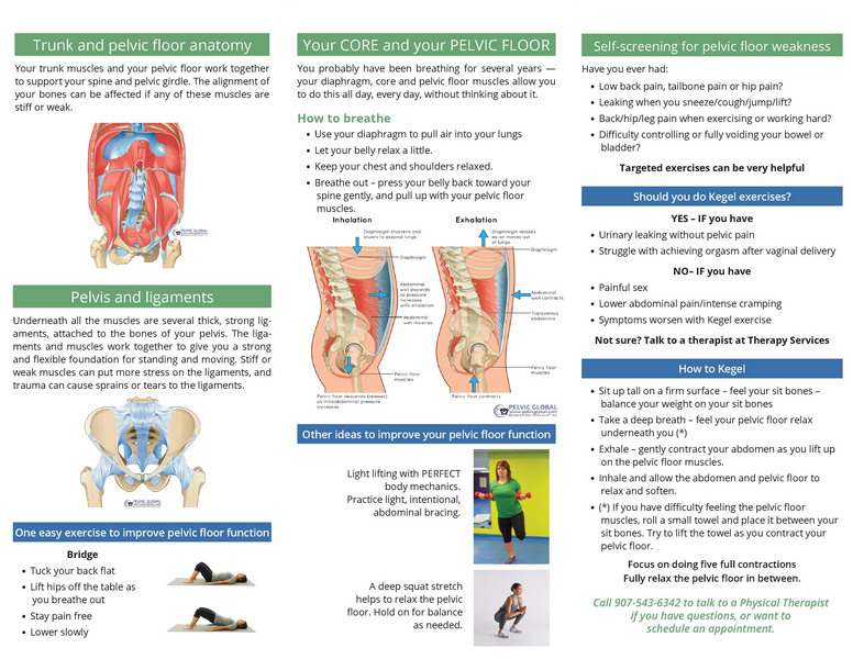 File:Pelvicfloorthearpy.pdf