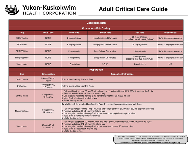File:Adult Critical Care Guide.pdf