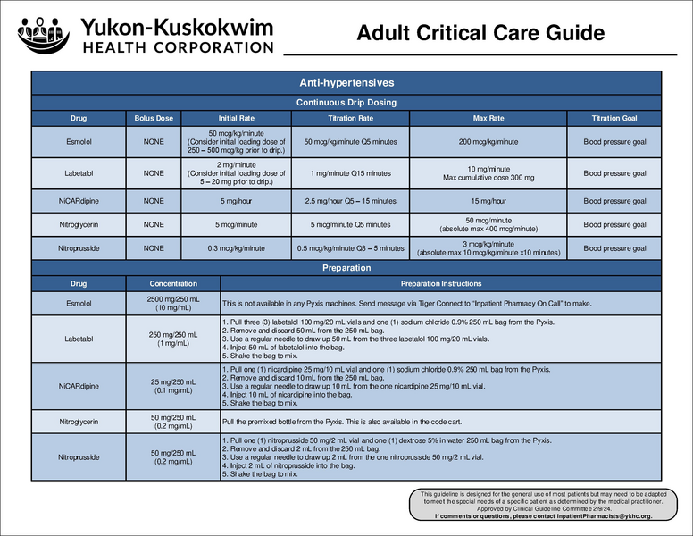 File:Adult Critical Care Guide.pdf