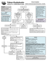 Thumbnail for version as of 09:20, 8 March 2020