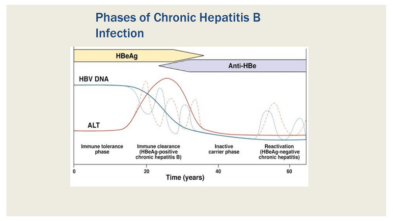 File:Liver Disease Updates 10.6.17.pdf