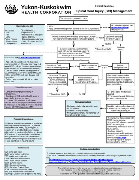 File:Spinal cord injury.pdf