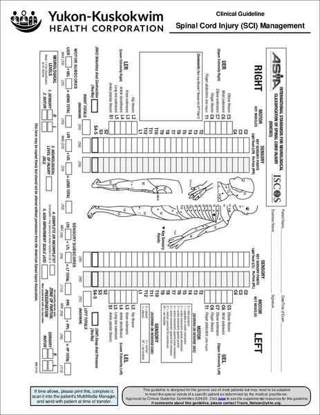 File:Spinal cord injury.pdf