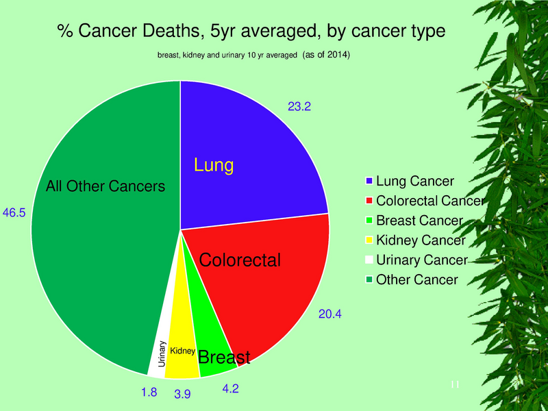 File:YKHC health status.pdf