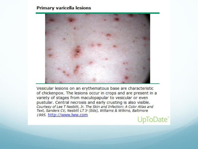 File:Childhood Rashes.pdf