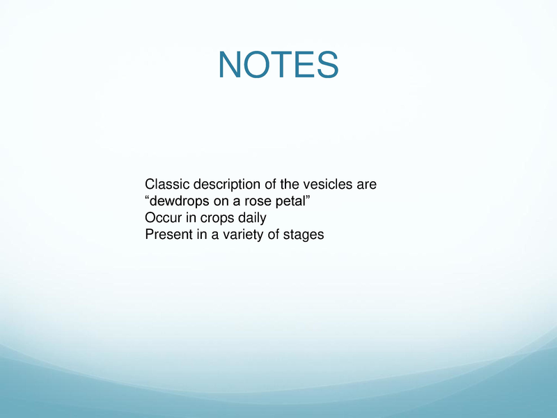 File:Childhood Rashes.pdf