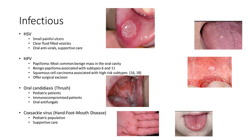 File:Airway Evaluation - 5-7-2019.pdf
