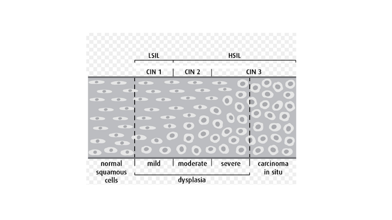 File:Airway Evaluation - 5-7-2019.pdf
