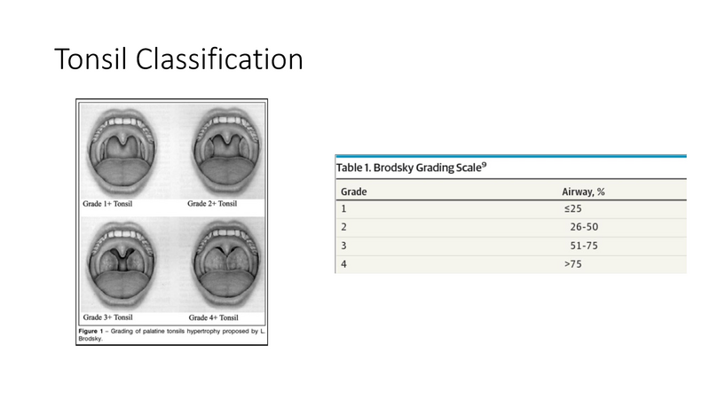 File:Airway Evaluation - 5-7-2019.pdf