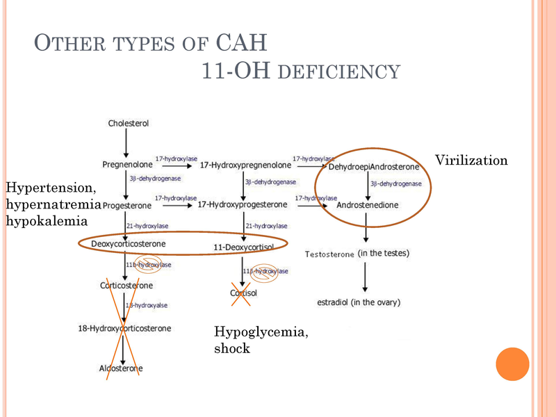 File:Congenital Adrenal Hyperplasia.pdf