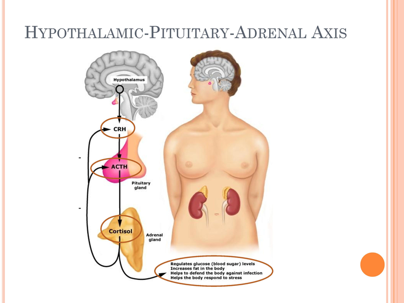 File:Congenital Adrenal Hyperplasia.pdf