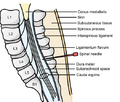 Thumbnail for version as of 16:49, 7 October 2020