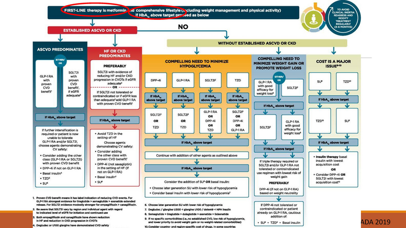 File:Diabetes - 6-6-2019.pdf