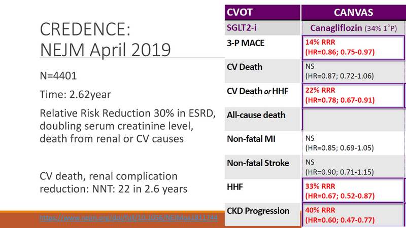 File:Diabetes - 6-6-2019.pdf
