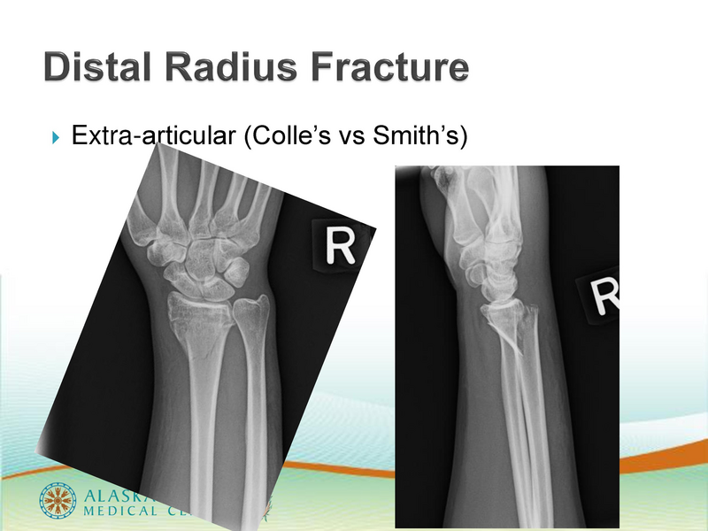 File:ANMC Hand Ortho - 1-30-2019.pdf