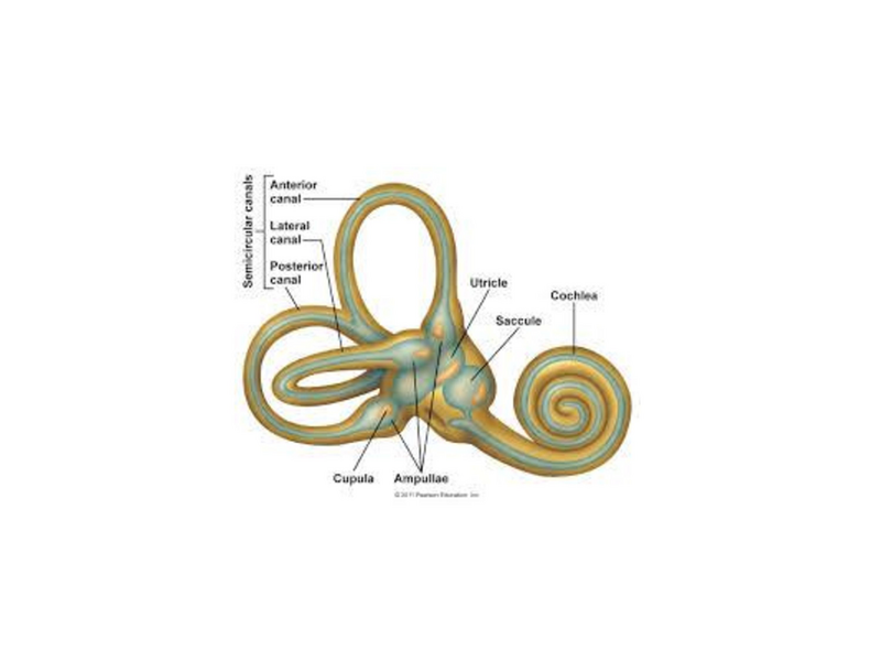 File:Dizziness.pdf