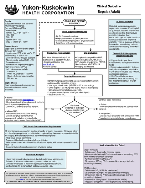 File:Sepsis adult.pdf